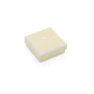 earring box