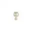 3-6mm Freshwater button pearls set on yellow gold-plated Sterling Silver stud earring