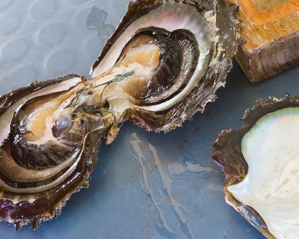 Open Oyster Carbon Neutral