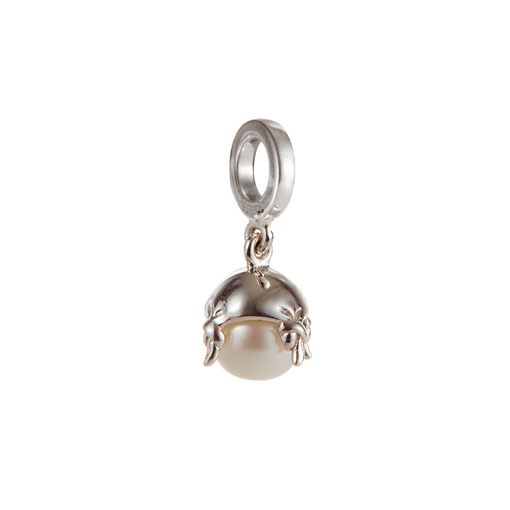 Charm 1897623