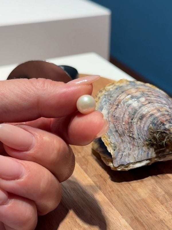 Jersey Pearl - Classic and unique designer pearl jewellery