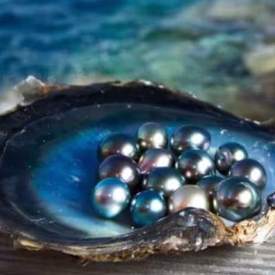 Tahitian Pearls