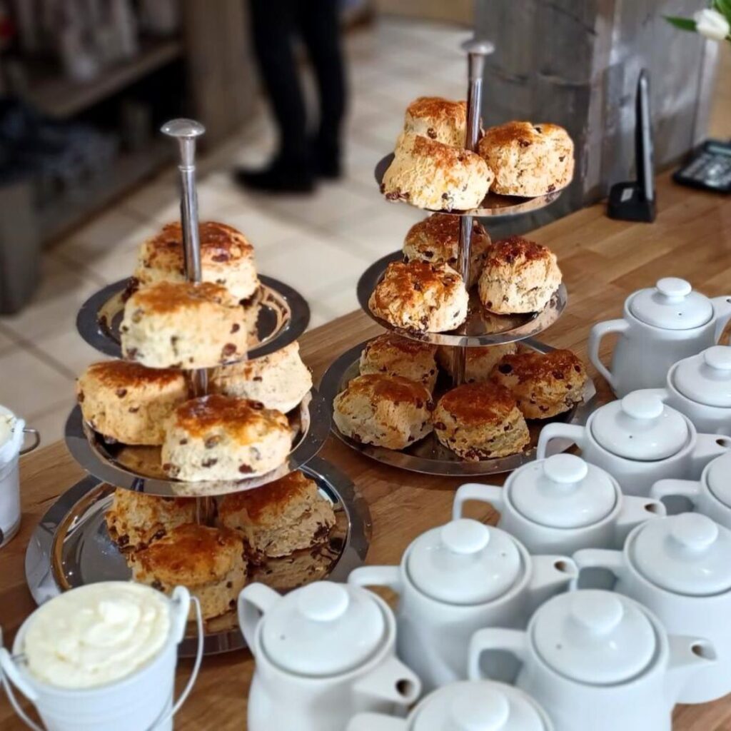 fruit scones